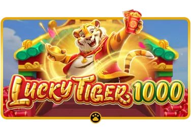 win03